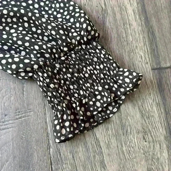 Zara | Sheer polka dot long sleeve dress - Picture 6 of 12